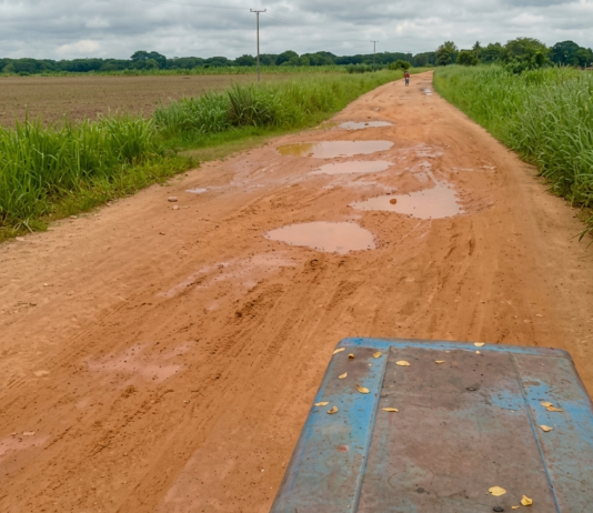 Dirigente alerta posible colapso del sector agropecuario en Barinas ante crisis vial y productiva