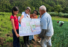 Productores e investigadores revisan documentos técnicos sobre innovación agrícola en Portuguesa y Trujillo