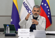 Vladímir Padrino López durante los acuerdos para proteger la cosecha nacional de arroz