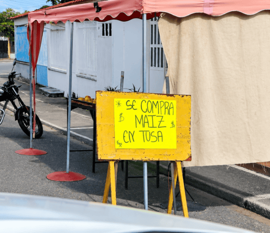 El costo oculto de la cosecha: cuando el “coqueo” da paso al hurto y al comercio ilegal Cartel que anuncia la compra de maíz en tusa a pie de calle en Portuguesa.