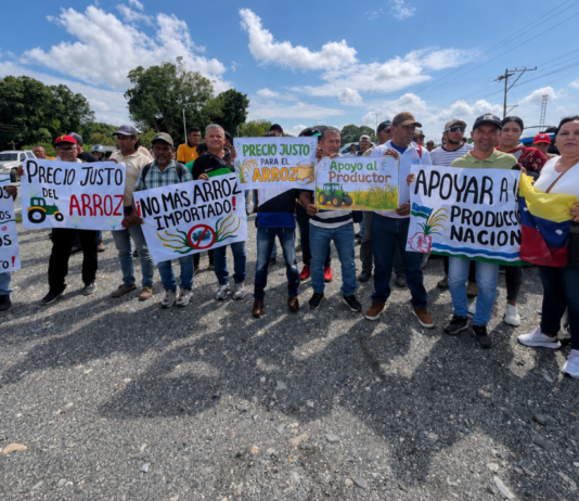 Productores de Portuguesa protestan por el precio del arroz y rechazan importaciones agrícolas
