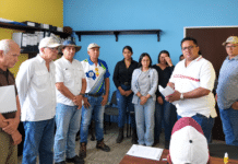 CEINPORT identifica fallas de diseño y construcción en el puente colapsado de Ospino Directivos y miembros de las comisiones técnicas del CEINPORT durante una reunión sobre el informe del puente colapsado de Ospino.